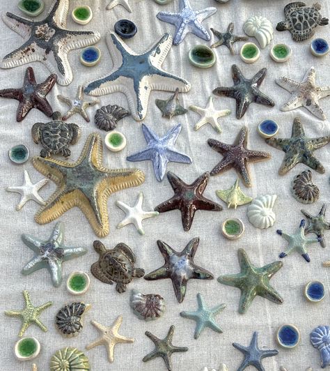 #starfish #seashells #ceramics #seacore Ceramic Seashells, Clay Starfish, Ceramic Starfish, Ceramic Seashell, Ceramic Ideas, Ocean Themes, Air Dry Clay, Jewelry Inspo, Dream Job