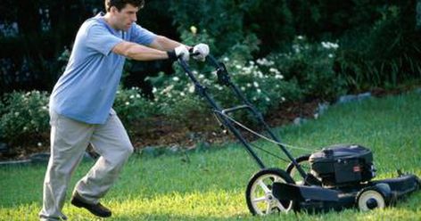 Is Mowing the Lawn an Exercise? | LIVESTRONG.COM Building A Trellis, Mowing The Lawn, Robotic Lawn Mower, Push Mower, Garden Cart, Garden Services, Ground Cover Plants, Energy Conservation, Front Lawn