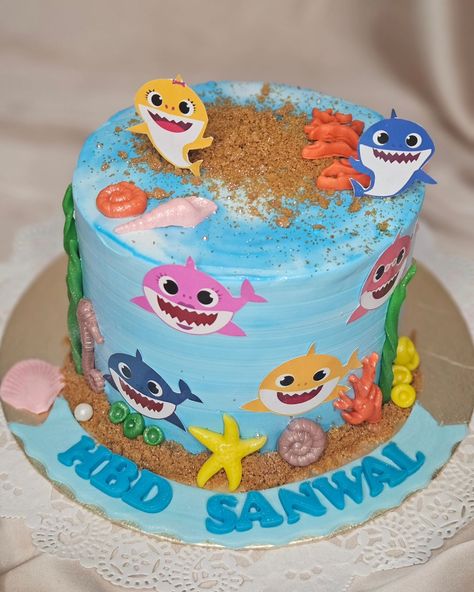 BABY SHARK THEMED CAKE FOR SANWAL'S BIRTHDAY 🎂 🥳 #FAYBAKESCO ##faybakescobyfaiza #malakwal #cakes #homebaking #babyshark #cake #theme #explore #newsfeed #Pakistan #punjab #Google Baby Shark Theme Cake, Shark Theme Cake, Shark Themed Cakes, Baby Shark Birthday Cake, Shark Birthday Cake, Pakistan Punjab, Baby Shark Cake, Shark Birthday Cakes, Shark Cake