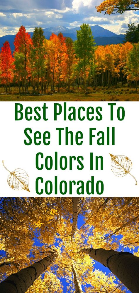 Fall In Denver Colorado, Autumn In Colorado, Denver In The Fall, Colorado Activities, Travel Colorado, Camping Colorado, Denver Travel, Colorado Travel Guide, Colorado Trip