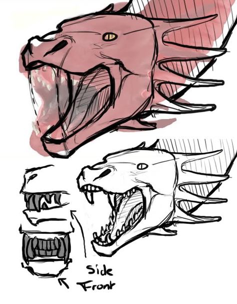 Dragon With Mouth Open, Dragon Mouth, Drawn Dragon, Dragon Draw, Dragon Teeth, Mouth Photo, Dragon Poses, Dragon Anatomy, Teeth Drawing