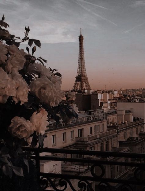 Dark Academia Wallpaper, Paris Wallpaper, Paris Pictures, Paris Aesthetic, Pretty Landscapes, Cute Simple Wallpapers, The Eiffel Tower, Pretty Wallpapers Backgrounds, Aesthetic Images