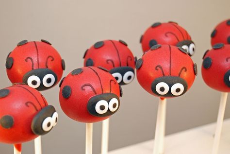 Bird Cake Pops, Ladybug Cake Pops, Ladybird Cake, Ladybug Picnic, Miraculous Ladybug Party, Ladybug Cakes, Bug Cake, Cake Pop Designs, Ladybug Cake