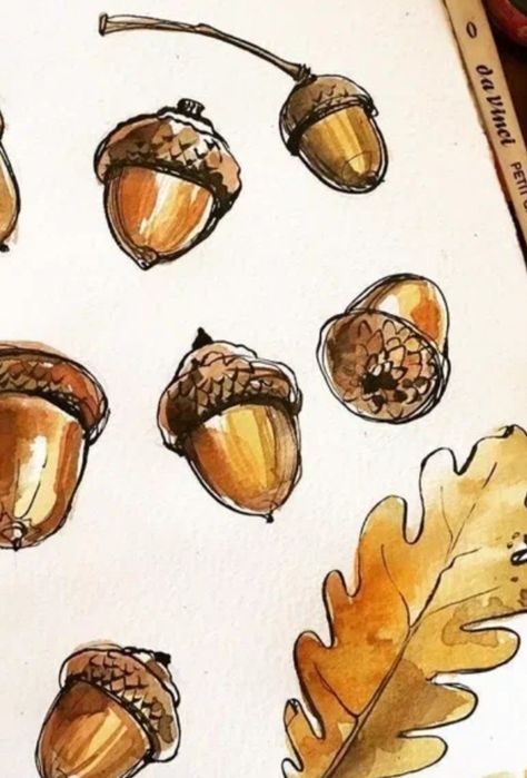 Acorn Watercolor Paintings, Autumn Leaves Sketch, Fall Leaves Sketch, Watercolour Acorn, Acorn Drawing Simple, Oak Leaves Drawing, Acorns Drawing, Cottagecore Drawing Ideas, Oak Leaf Drawing