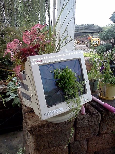 Magic Garden, Plant Aesthetic, Kew Gardens, Covent Garden, Nature Aesthetic, Green Aesthetic, Computer Monitor, Sake, Aesthetic Pictures