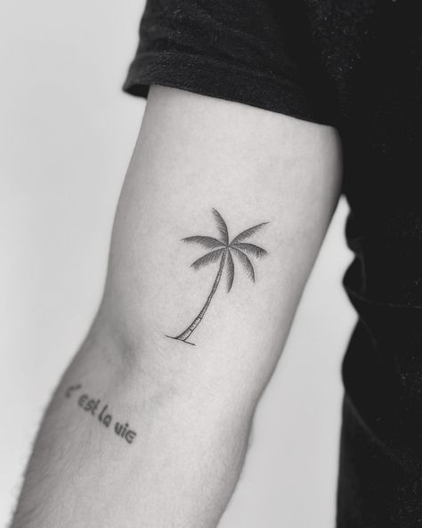 Bicep tattoo. Palm tree. By Sille Klinge Beach Bicep Tattoo, Palm Tree With Flowers Tattoo, Palm Tree Tattoo Bicep, Forearm Palm Tree Tattoo, Men’s Palm Tree Tattoo, Date Palm Tattoo, Small Palm Tree Tattoo Men, Men Palm Tree Tattoo, Hawaii Tattoos Men