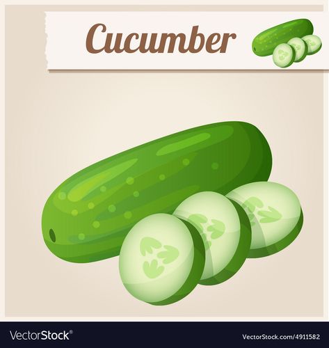 Cucumber Detailed Icon Royalty Free Vector Image Cucumber Cartoon, Food Flashcards, Watermelon Cartoon, Avocado Cartoon, Cookie Vector, Plant Cartoon, Drink Art, Apple Vector, Cartoon Food