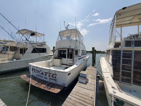 Bertram Boats, Boat For Sale, Fresh Water Tank, Hot Water Heater, Atlantic City, Boat Building, Boats For Sale, Super Sport, Engine Types