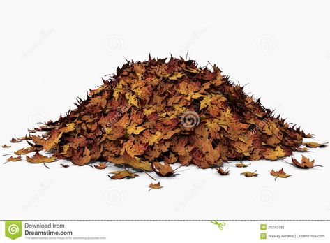 Autumn Leaves Illustration, Leaf Pile, Pile Of Leaves, Fall Tree, Leaves Illustration, Red Fall, Dream Book, Fall Leaf, Dry Leaf