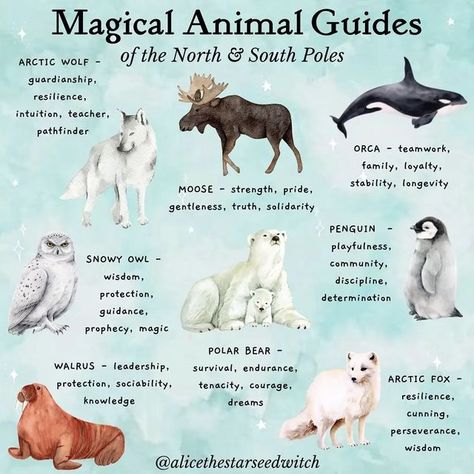 Animals And What They Symbolize, Spirit Animal List, Element Animals, Samhain Ideas, Female Mage, Animal Totem Spirit Guides, Fairy Animals, Witchcraft Quotes, Outlander Art