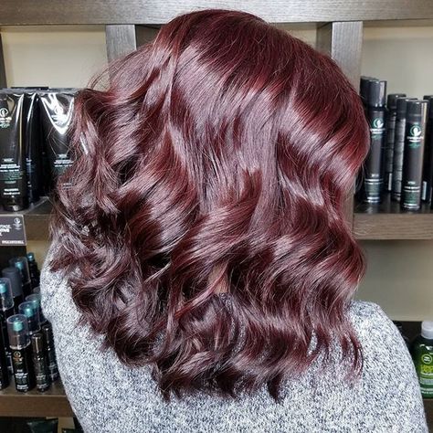 Pinot Noir  Paul Mitchell Color XG 5RV and 5VR and pulled through Shines XG 7RV and 5RV with 10 volume and olaplex Pinwheel Hair Color, Paul Mitchell Hair Products, Paul Mitchell Color, Hair Color For Women, Sally Beauty, Let Your Hair Down, Paul Mitchell, Red Hair Color, Feb 5