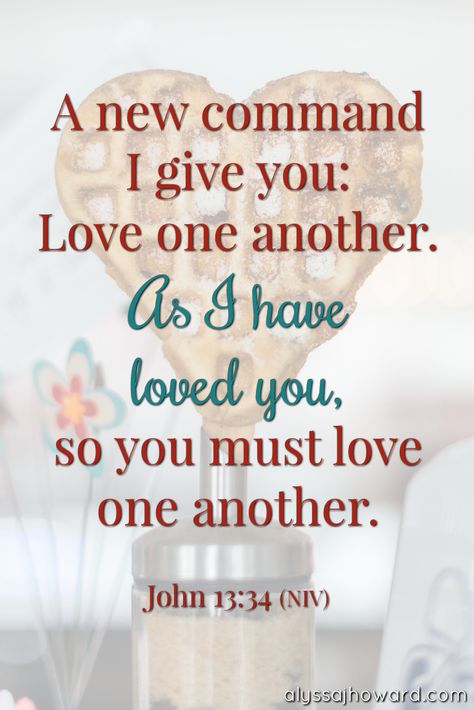 A new command I give you: Love one another. As I have loved you, so you must love one another. - John 13:34 (NIV) Love One Another Quotes, Bible Board, Biblical Scriptures, More Than A Feeling, John 13 34, Christian Sayings, Sweet Lord, La Outfits, Faith Formation