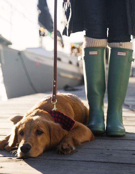 Classy Girls Wear Pearls: O Christmas Sea, O Christmas Sea Ralph Lauren Dog, Ugg Scarf, Sarah Vickers, Hunter Boots Outfit, Rain Coats, Classy Girls Wear Pearls, Hunter Outfit, Patagonia Sweater, Wear Pearls