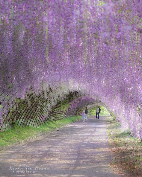 @japan_trip_x . . Tag→#japan_trip_x . . . 📍Kitakyushu,Japan . . 📸@ichijikupai . . . #kyoto #nippon #phos_japan #photo_jpn #ig_japan #日本… Kitakyushu Japan, Japan Trip, Japan Photo, Japan Travel, Kyoto, Country Roads, Japan, Tags, Instagram