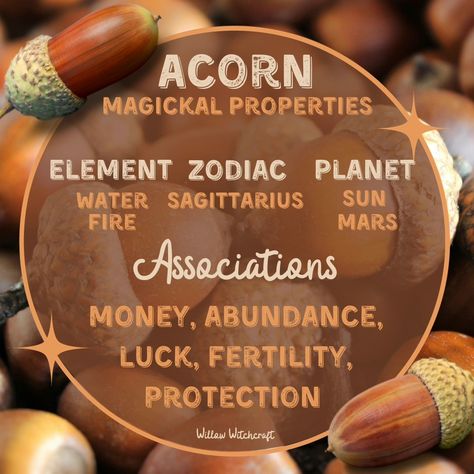 Almond Witchcraft, Acorn Witchcraft, Hoodoo Ingredients, Acorn Magic, Tree Witchcraft, Witchy Notes, Witchy Plants, Plant Symbolism, Witchcraft Meaning