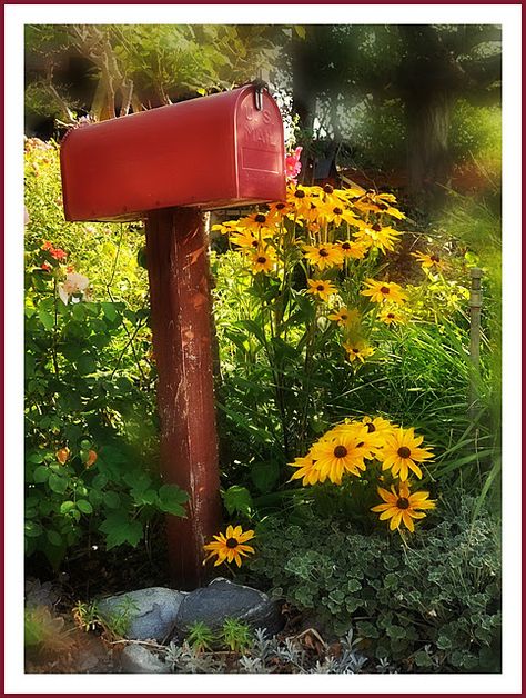 Country Mailbox, She Is Gone, No Children, Bedroom Window, The Fair, Us Open, Christmas Morning, Candy Dish, Mailbox