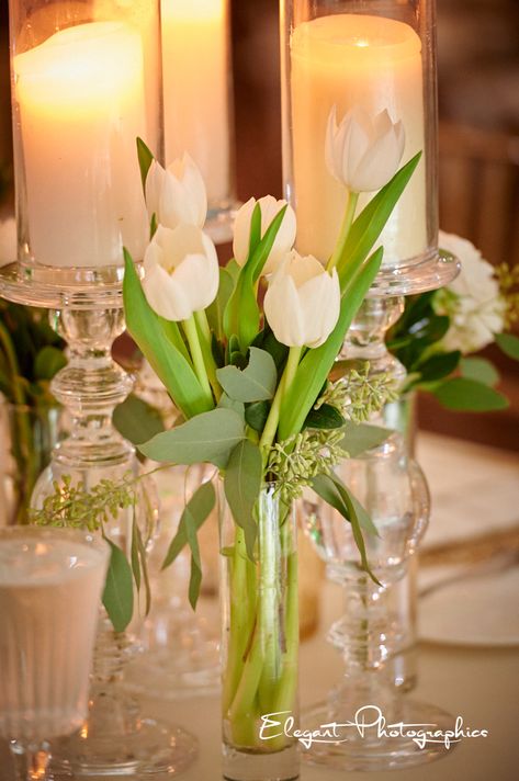 Tulip Decorations Table, Tulip Bud Vase Wedding, White Tulips Centerpiece Wedding, Tulips In Bud Vases, Tulip Table Arrangements, Wedding Centerpieces Tulips, Tulip Wedding Theme Table Settings, White Tulips Wedding Decoration, Tulip Baby Shower Theme