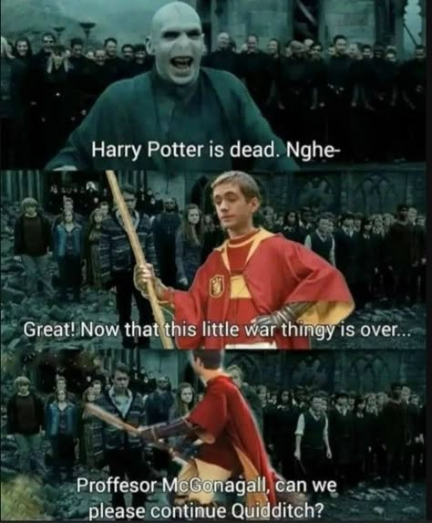 Harry potter meme Glume Harry Potter, Funny Harry Potter Jokes, Oliver Wood, Harry Potter Memes Hilarious, Buku Harry Potter, Harry Potter Feels, Harry Potter Puns, Harry Potter Pin, Images Harry Potter