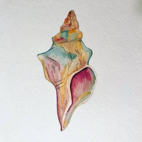 Shell Drawing Watercolor, Conch Shell Sketch, How To Draw A Conch Shell, Conch Shell Watercolor, Sea Shell Watercolor Paintings, Shell Watercolor Painting, Conch Shell Art, Conch Tattoo Shell, Conch Shell Drawing