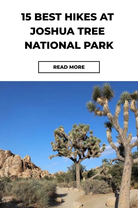 Our list of the Best Hikes at Joshua Tree from easy Joshua Tree hikes to challenging. Joshua Tree NP provides an array of nature in every trail. Joshua Tree Hikes, Desert Environment, Mojave Desert, Take A Hike, Joshua Tree National Park, Nature Trail, Best Hikes, Desert Landscaping, Round Trip