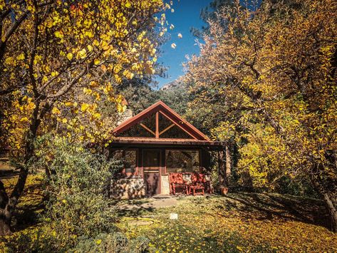 Orchard Canyon on Oak Creek In Arizona is surrounded by fall foliage, offering a cozy cabin getaway rife with enchantment. Oak Creek Canyon Arizona, Fall Weekend Trip, Verde Canyon Railroad, Fall Weekend Getaway, Oak Creek Canyon, Fall Getaways, Autumn Weekend, Leaf Peeping, Getaway Cabins