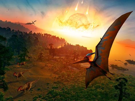 Dinosaurs Extinction, All Dinosaurs, Dinosaur Pictures, Science Photos, Dinosaur Art, Prehistoric Creatures, Space Rock, Prehistoric Animals, Wipe Out