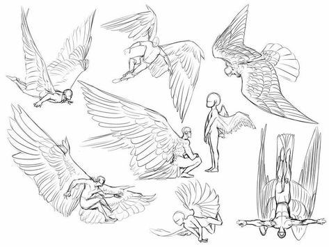 Bird People, Wings Drawing, Wings Art, Creative Drawing Prompts, Art Tools Drawing, Concept Art Drawing, Figure Drawing Reference, Creature Concept Art, Art Poses