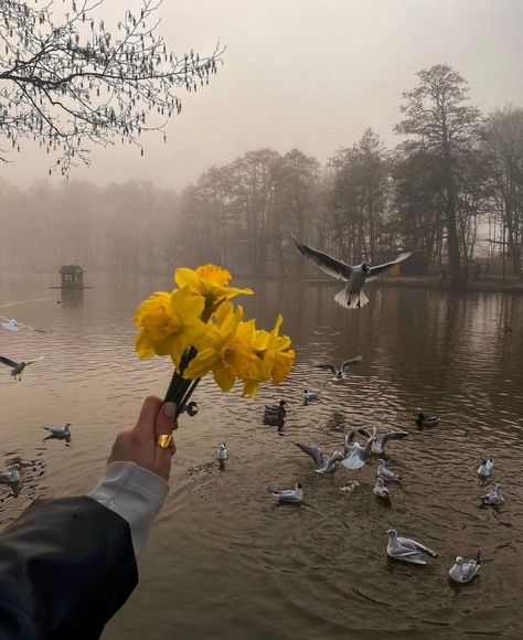 Foggy Weather, Morning Vibes, Flower Therapy, Spring Aesthetic, Cute Poses, Aesthetic Photo, Pretty Pictures, Dark Aesthetic, Beautiful Photo