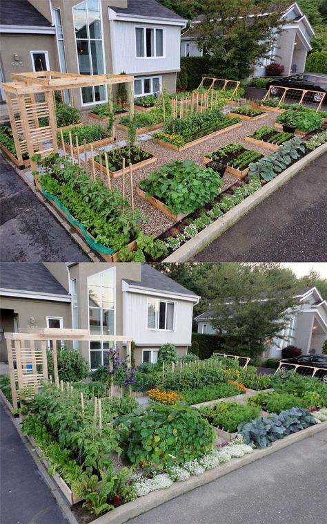 16 Easiest Vegetables to Grow (Fast Harvest For Beginners!) - A Piece Of Rainbow Vegetable Garden Layout Design, Vegetable Garden Layout, Garden Layout Vegetable, Backyard Vegetable Gardens, Garden Design Layout, Veg Garden, Home Vegetable Garden, Vegetable Gardens, Vegetable Garden Design