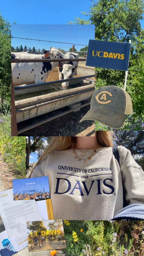 Davis Aesthetic, University Inspiration, Davis California, College Apps, Uc Davis, Manifestation Board, Future Career, Dream Board, University Of California