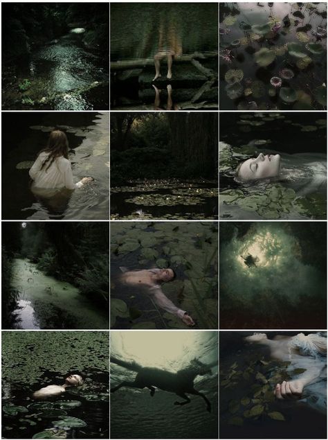 nokken aesthetic nokk selkie mythology norse mythology moodboard green ponds water drowning Selkie Mythology, Mythology Norse, Ap Art, Original Characters, Norse Mythology, Ponds, Water, Movie Posters, Green