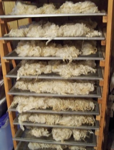 This is the rack Chuck built me right after we moved to this farm.  We had several aluminum window screens from the old farmhouse, so he... Wool Processing, Snowflake Wall, Tovad Ull, Old Window Frames, Hantverk Diy, Make Flowers, Drying Racks, Paper Snowflake, Alpaca Farm