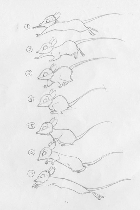 Content Pro, secret of nihm, mouse run cycle: Secret Of Nihm, Principles Of Animation, Animation Tips, Run Cycle, Animation References, Animation Storyboard, Frame By Frame Animation, How To Draw Animals, Cycling Tips