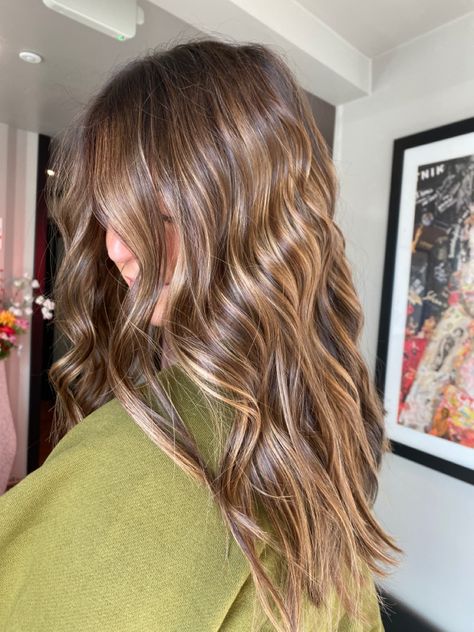 Golden Balayage On Brown Hair, Golden Blonde Balayage On Light Brown Hair, Teddy Bear Hair Color Brown, Brunette With Caramel Balayage, Sandy Brown Balayage, Honey Brunette Balayage, Light Brunette Hair, Wedding Hair Colors, Chestnut Hair Color