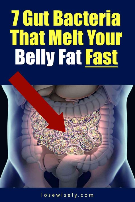 7 Gut Flora That Melt Your Belly Fat Fast London Wonders, King's College London, Melt Belly Fat, Gut Flora, King's College, Gut Bacteria, Fat Burning Foods, Fat Fast, Belly Fat