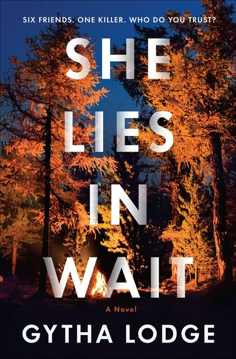 She Lies in Wait The Good Lie Book, The Good Lie, Camping Parties, Thriller Books, Cold Case, Random House, Mystery Thriller, Reading Ideas, Go Camping