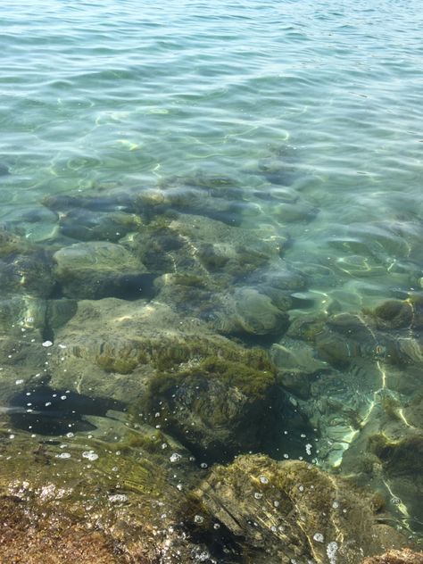 Underwater Rocks, Flora Marina, Paradise Sea, Water Effect, Calm Before The Storm, Water Ripples, Lake Water, Water Reflections, Water Art