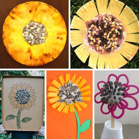 Seed Crafts For Kids, Seed Craft, Seed Art, Plants Unit, Apple Seeds, Steam Activities, Spring Preschool, Sunflower Art, Spring Art