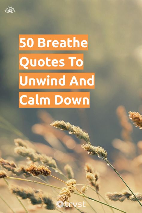 Feel overwhelmed? 😧 Slow down and take a deep breath. These tranquil quotes give you permission to inhale positivity and exhale stress. 👌 Less worry, more peace! 🕊 Click through for your dose of calm. #BreatheQuotes #Positivity #StressRelief #PeaceOfMind #Serenity Calm Down Quotes Funny, Calm Down Quotes Feelings, Tranquil Quotes, Quotes To Calm You Down, Be Calm Quotes, Breathe Quotes Inspiration, Fresh Air Quotes, Breathing Quotes, Calm Down Quotes