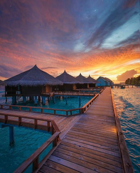 The Maldives anyone? We have over 40 luxury hotels in the Maldives for you to choose from. #thehotelguru #wintersun #maldives #sunsets #luxuryhotel #thatviewthough #honeymoonvacation #romantichoneymoon #hotelreviews #whitesandybeaches #cocktailsonthebeach #sundowners #passionpassport #travelgram #wanderlust #dreamholiday #privatevillas #tophotels #wheretostay #theexpertview #wheretogo #beachhotel #spahotel #islandlife #tropicalisland #islandstyle #beachvibes #robinsoncrusoe Best Resorts In Maldives, Maldives Hotel, Honeymoon Vacations, Maldives Resort, Tropical Travel, Maldives Travel, Romantic Honeymoon, The Maldives, Family Holidays