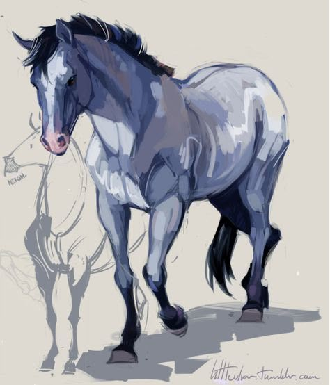 Horse Art Drawing, Zoo Ideas, Horse Sketch, Horse Anatomy, Draw Animals, Drawing Animals, In The Zoo, Horse Drawing, Horse Drawings