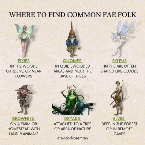 Fairy Mythical Creatures, Different Mythical Creatures, Fantasy Creatures Humanoid Types, Good Mythical Creatures, Fairy Types Mythology, Different Kinds Of Fairies, Kinds Of Fairies, Mythical Creatures Fairy, Fantasy Earth Creatures