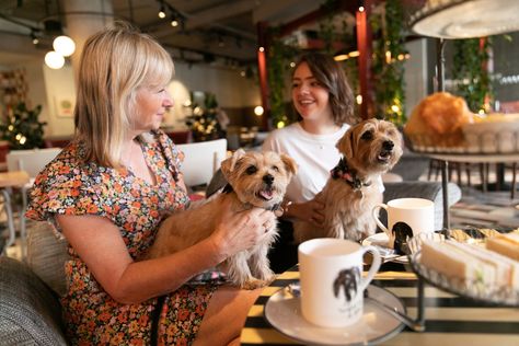 White City’s Bluebird Cafe will launch a dog-friendly afternoon tea for six weeks from July 22. Coffee Names, Restaurants London, Dog Restaurant, Pet Cafe, Dog Friendly Hotels, Dog Hotel, Dog Cafe, City Dog, Dog Branding