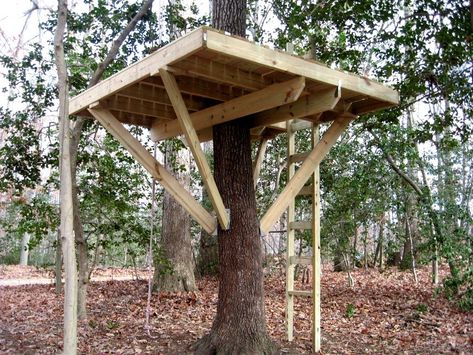 Base for building a treehouse Pallet Tree Houses, Simple Tree House, Pallet Tree, Deck Piscina, Building A Treehouse, Tree House Plans, Backyard Trees, Tree Fort, Tree House Diy