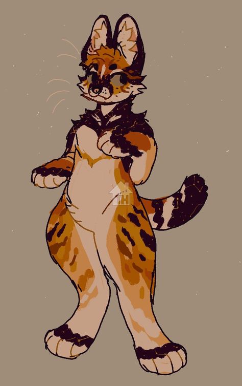 Weird Eyebrows, Cat Drawing Simple, Anthro Cat, Cat Art Painting, Cat Home Decor, Serval Cats, Always Judging, Cat Houses, Cat Oc