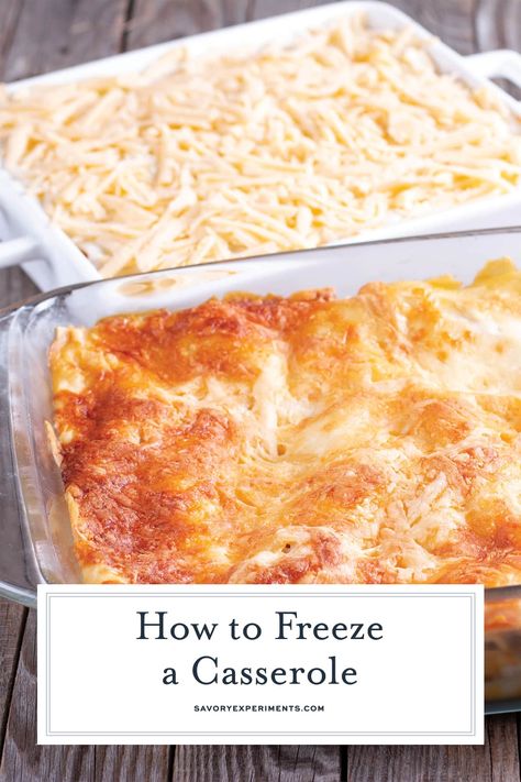 Learn how to freeze a casserole for best results and also what ingredients and casseroles you should avoid. #casseroles #freezerfriendlycasseroles www.savoryexperiments.com Easy Side Salad, Oven Casserole Recipes, Casserole To Freeze, Freezing Leftovers, Leftover Casserole, Tv Dinner, Frozen Chicken, Food Group, Frozen Meals