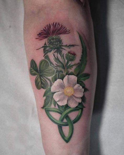 Shamrock and thistle tattoo on inner forearm Thistle Tattoo, Ankle Bracelet Tattoo, Inner Forearm, Tattoo Bracelet, Tattoo Designs And Meanings, Ankle Bracelets, Tattoo Designs, Tattoos