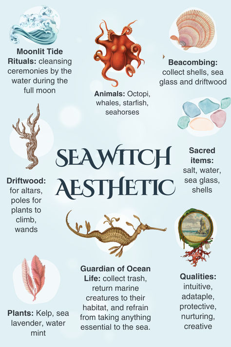 Sea witch aesthetic infographic with tips to bring out your inner sea witch. Illustrated with vintage ocean inspired images. Sea Witch Potion, Sea Witchery Aesthetic, Sea Witch Aesthetic, Sea Witchery, Sea Witchcraft, Sea Magic, Collecting Seashells, Sea Treasure, Water Magic