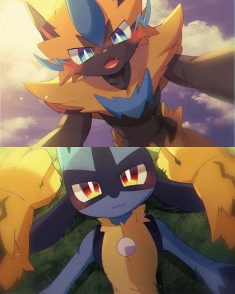 Zeraora x Lucario Pokemon Couples, Lucario Pokemon, Pokemon Moon, Crystal Drawing, Cute Pokemon Pictures, Pokemon Memes, Pokemon Teams, Pokemon Fan Art, Cool Pokemon