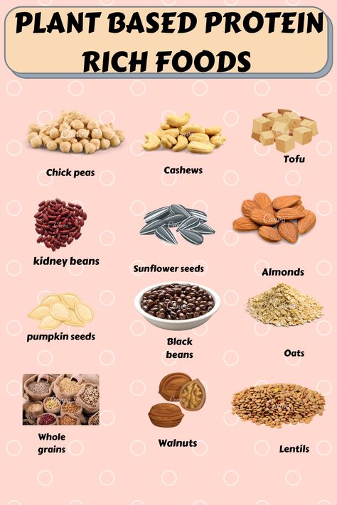 Protein Foods List Build Muscle Women, Protein Rich Foods Muscle Building, Protein Foods List Build Muscle, Protein Dense Snacks, Protein Rich Foods Vegetarian Indian, Soft Protein Foods, 70 Grams Of Protein, High Protein Diet For Women, Protein Foods For Kids